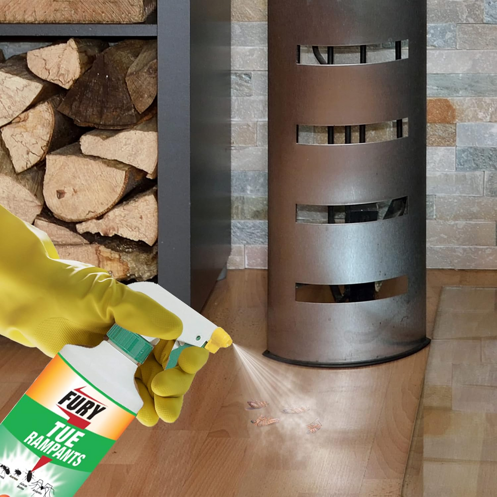 FURY Spray insecticide insectes rampants protection 6 mois intérieur et extérieur 500 ml