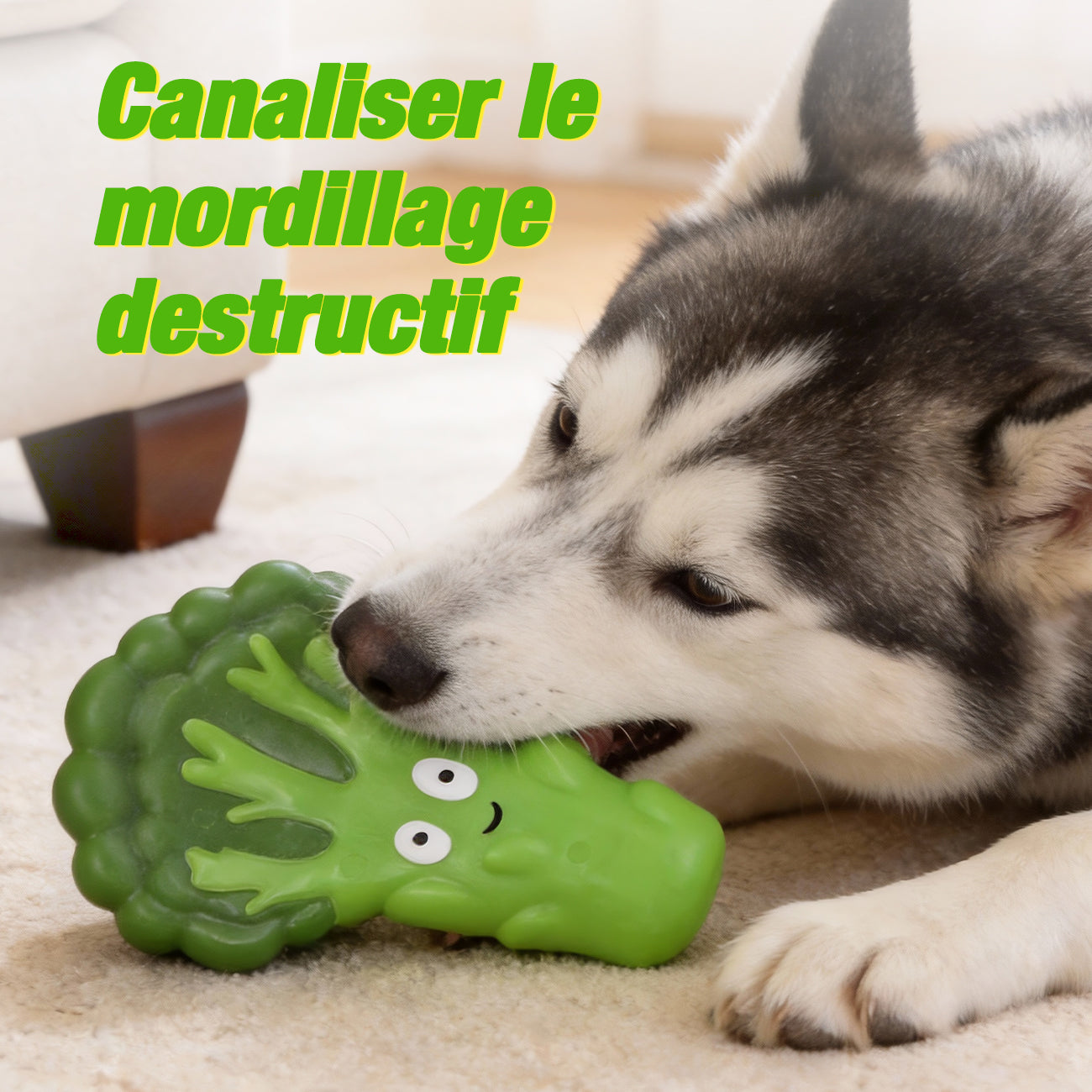 Blinkit Jouet à mâcher pour chien en nylon résistant aux morsures en forme de brocoli, Interaction lancer-attraper anti-stress, Jouet à mâcher pour animal de compagnie NL01057