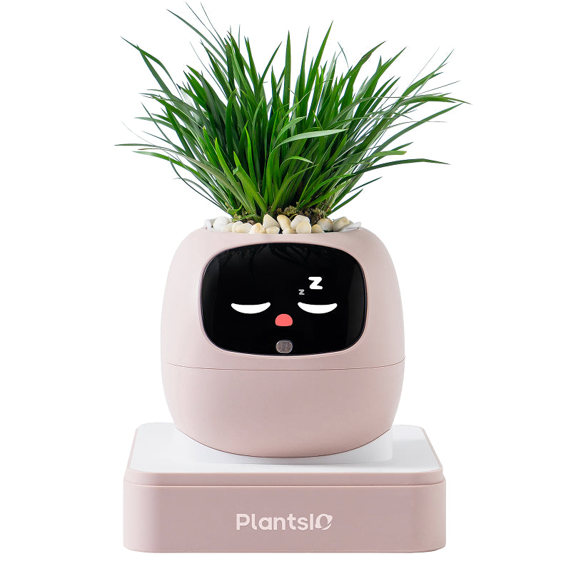 Cadeau d'été pour embellir votre intérieur – Pot de plante intelligent IA Ivy, interaction par expressions faciales, entretien intelligent des plantes