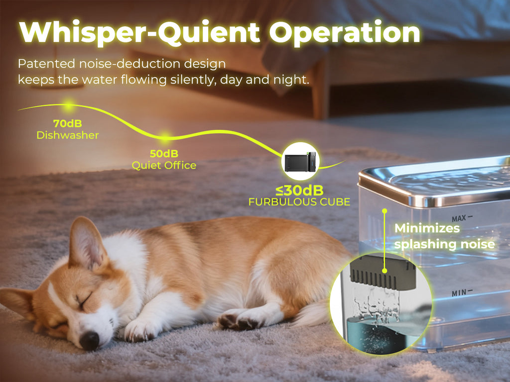 FURBULOUS [Acier Inoxydable 316 & Conception 100% Sécurisée] Fontaine à Eau avec Technologie d'Ultrafiltration - Eau et Électricité Séparées, Ultra-Silencieuse, Sans BPA, 3.3L, Deux Modes pour Chats & Chiens, Noir (Inclus Filtre 45 Jours)