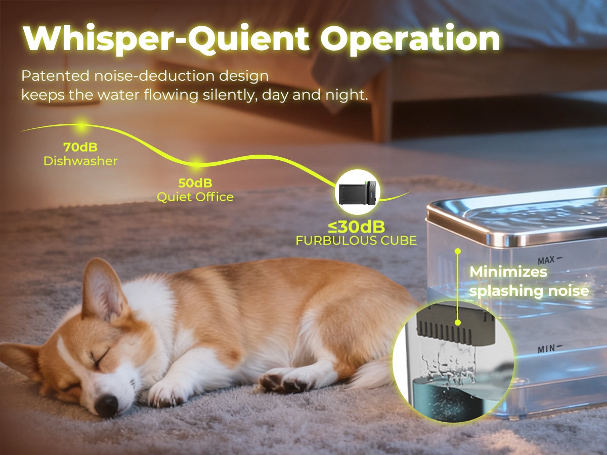 FURBULOUS [Acier Inoxydable 316 & Conception 100% Sécurisée] Fontaine à Eau avec Technologie d'Ultrafiltration - Eau et Électricité Séparées, Ultra-Silencieuse, Sans BPA, 3.3L, Deux Modes pour Chats & Chiens, Noir (Inclus Filtre 45 Jours)