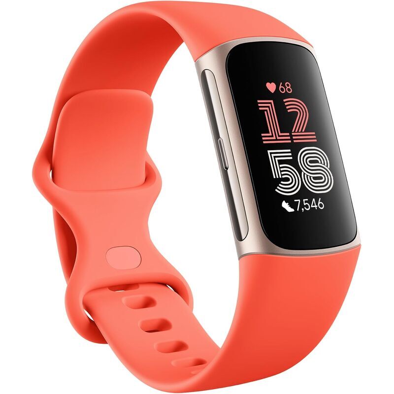 Google Fitbit Charge 6 Tracker d'Activité Inclus un Abonnement Premium de 6 Mois, Autonomie de 7 Jours, Google Wallet et Maps Corail / Or Champagne