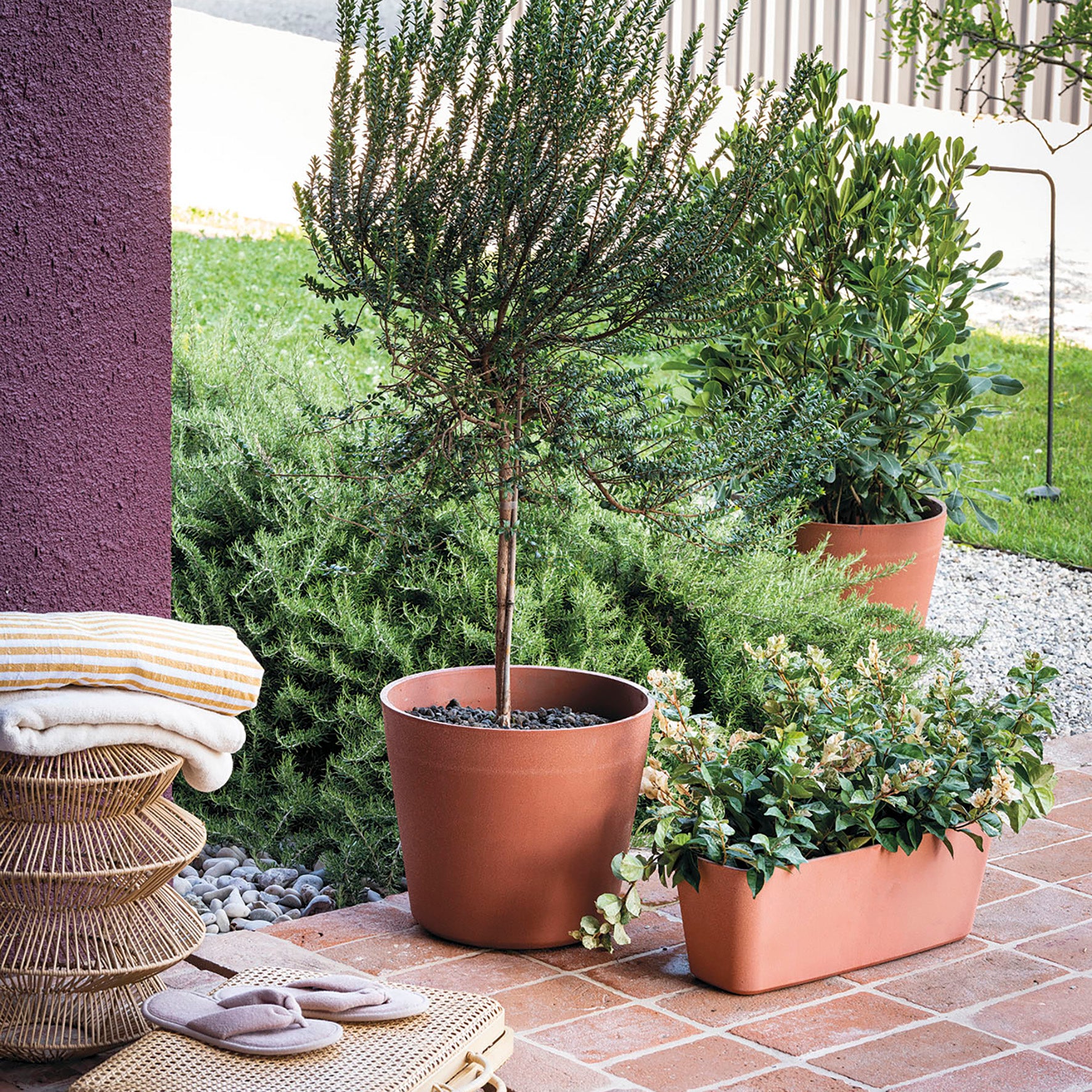 Deroma Pot Origin Terre cuite 20 cm