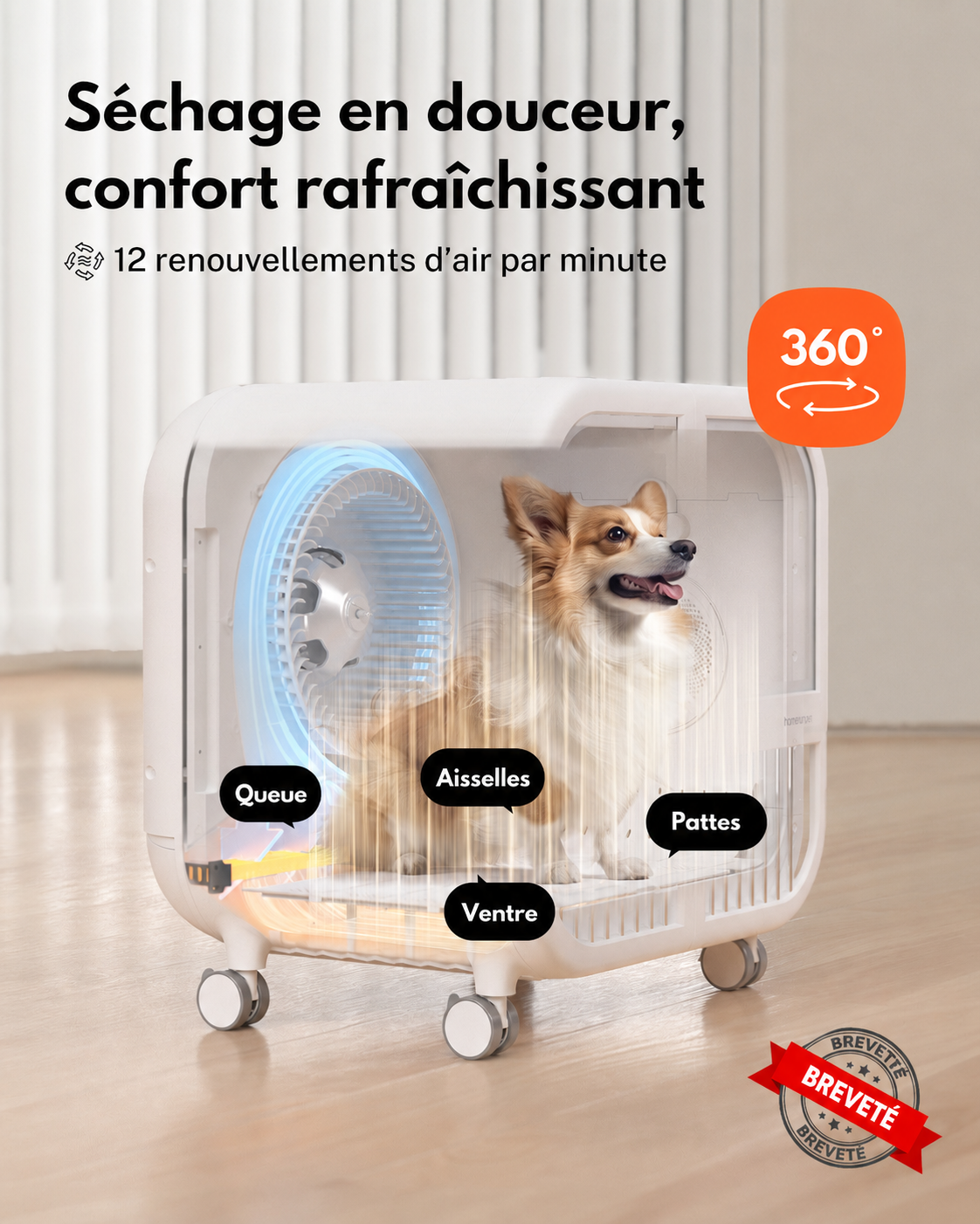 Homerunpet 135 L Deluxe Edition Sèche-Animaux, PD135, Séchage de Qualité Salon, Air Doux à 40 °C, Fonctionnement Ultra-Silencieux, Lit et Sèche-Animaux 2 en 1