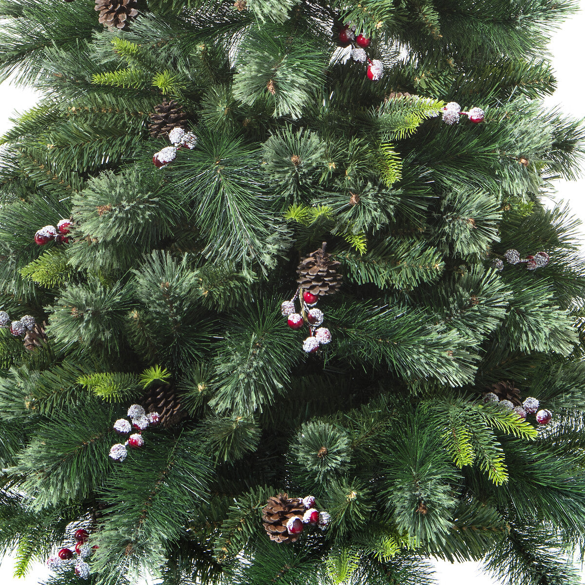 Sapin Wyoming haut 150 cm