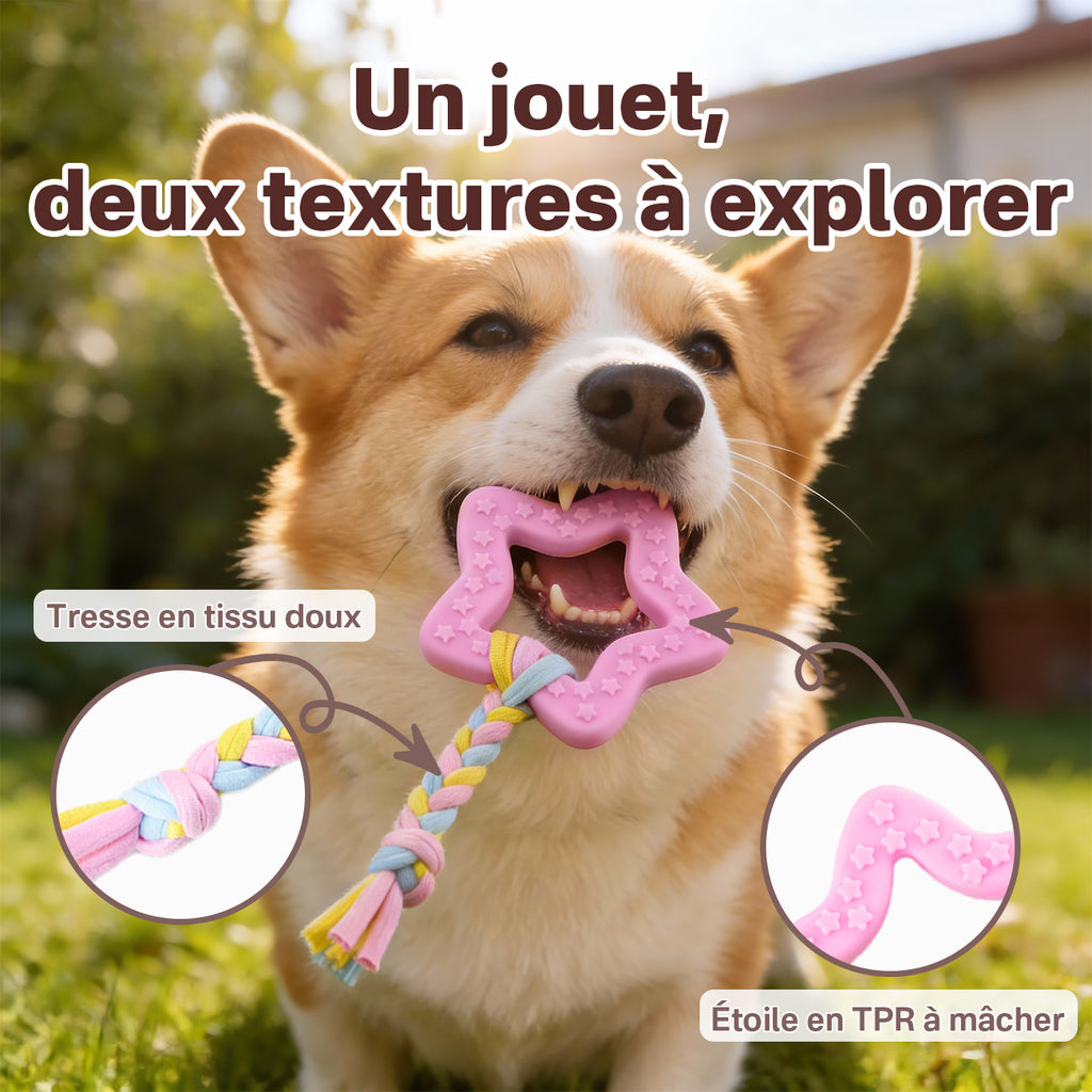 BLINKIT Jouet à mâcher en forme d'étoile rose en corde TPR et tissu pour chiens