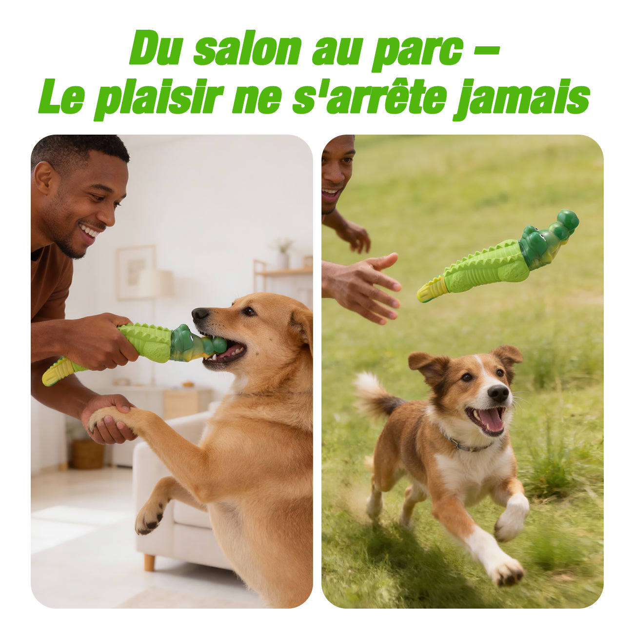 Blinkit Jouet à mâcher interactif résistant aux morsures pour chiens moyens et grands, Caoutchouc naturel et nylon, Structure double couche, Convient au rapport