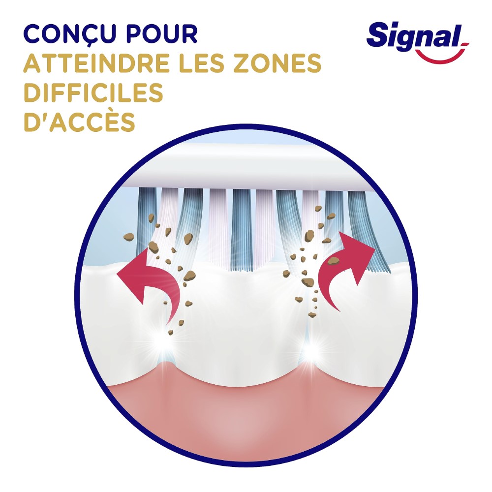 SIGNAL Brosse à Dents Protection Integrale Medium Lot de 4