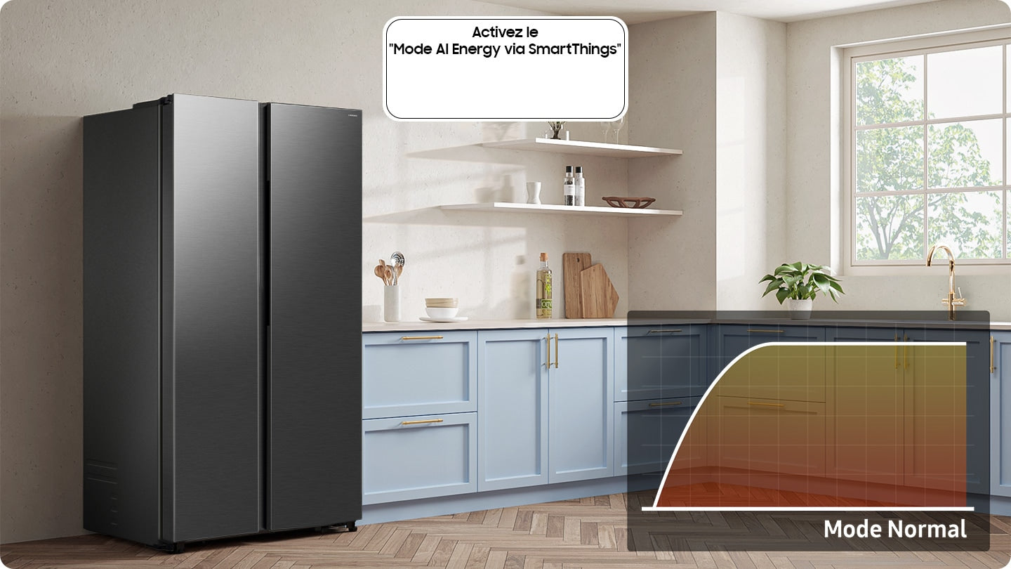 SAMSUNG Réfrigérateur Américain RS57DG410EB4 - 583 L - Classe E - Noir