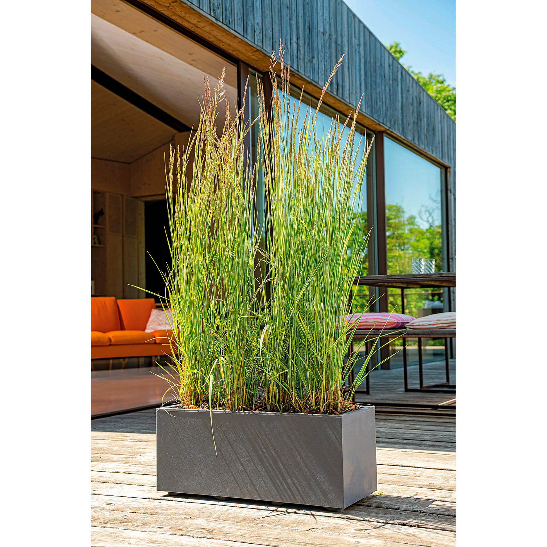 DEROMA Muret Millennium R Anthracite à réserve d'eau 59cm