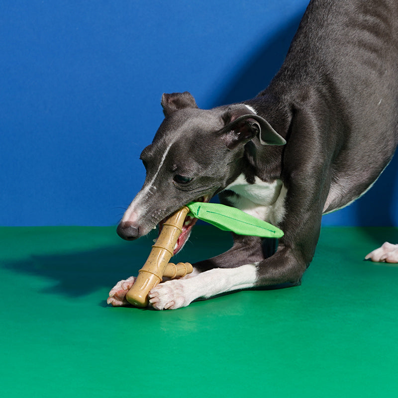 ZEZE Jouet à mâcher en bambou pour chien - interactif, nettoyage dentaire, design bambou 22 x 5,5 x 2,5 cm - sans éclats