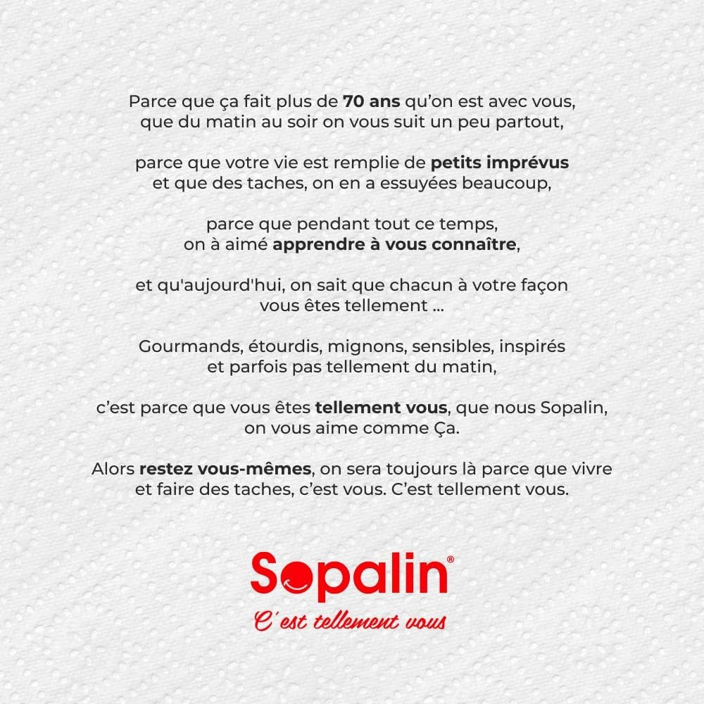SOPALIN Essuie-Tout 2 Épaisseurs Ultra Résistant, 250 Feuilles, 1 Maxi Rouleau (Équivalent à 5 Rouleaux Standards)