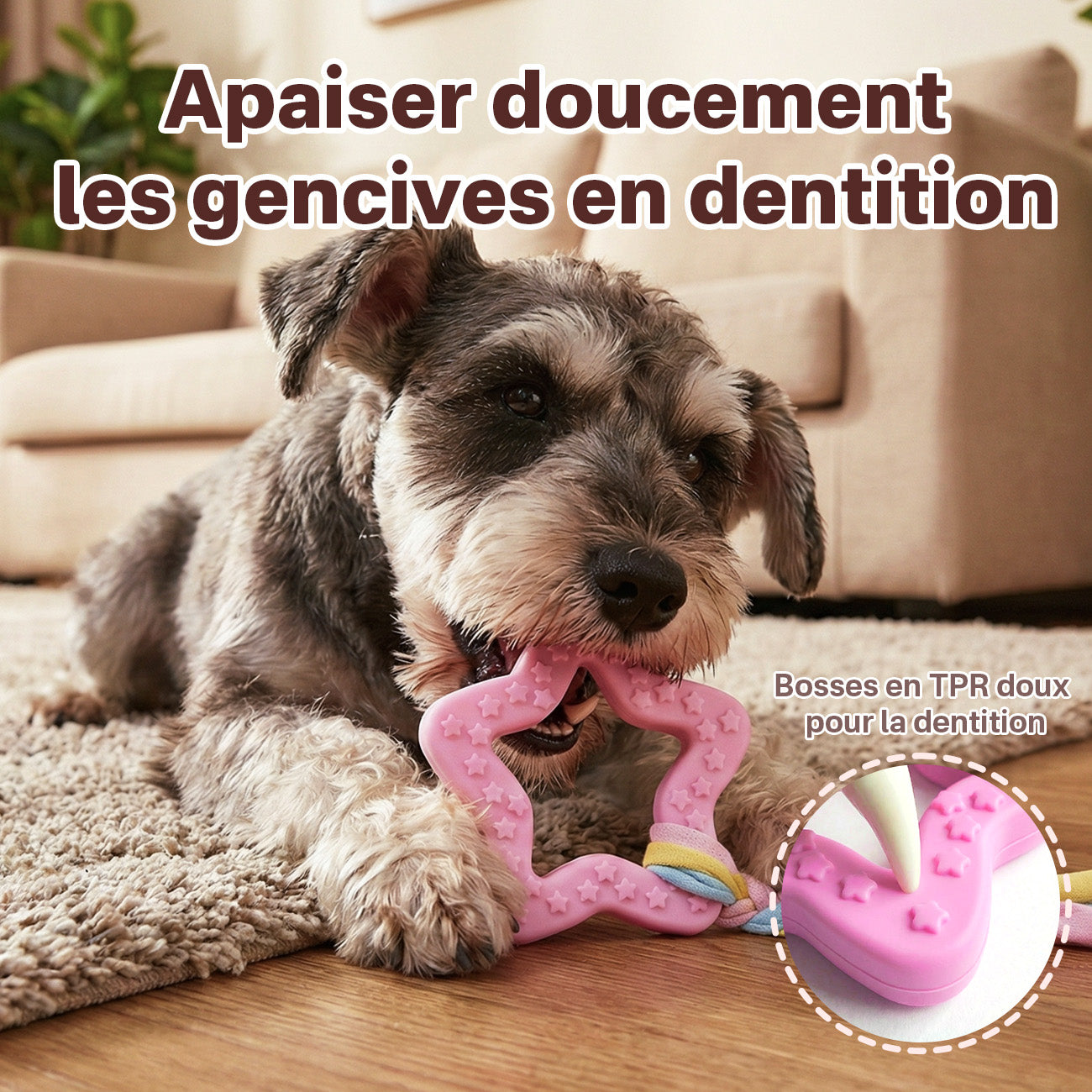 BLINKIT Jouet à mâcher en forme d'étoile rose en corde TPR et tissu pour chiens
