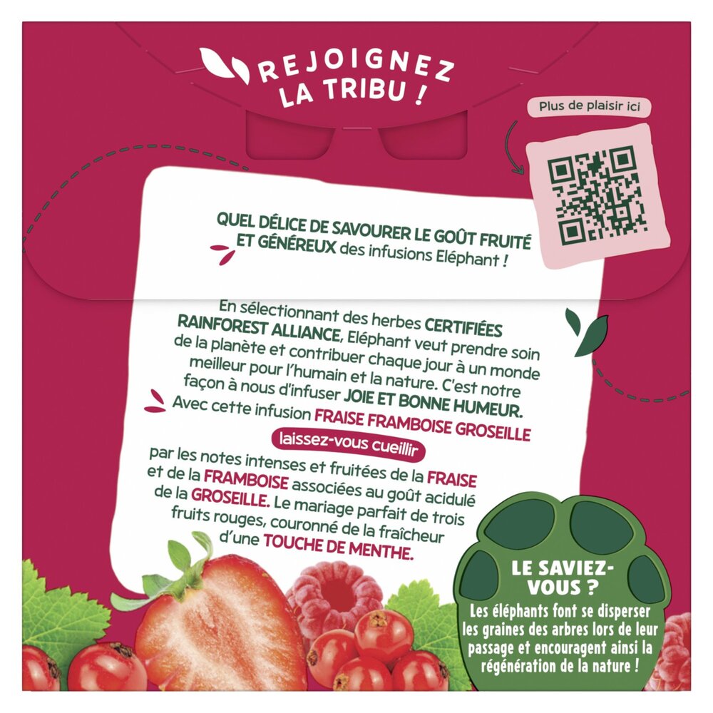 ELEPHANT Infusion Framboise Menthe x20 40g