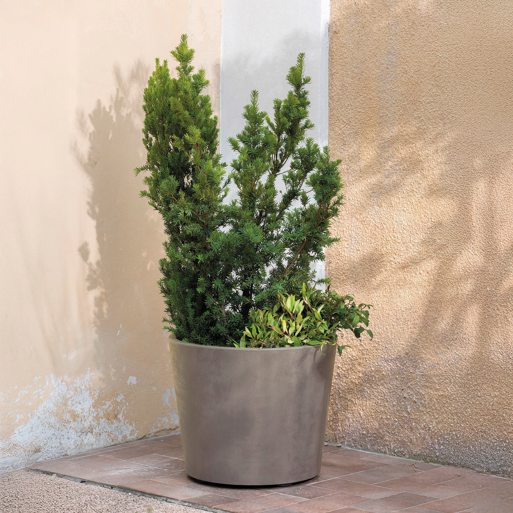 DEROMA Vaso Millennium R Sandstone à réserve d'eau et roulettes 59cm
