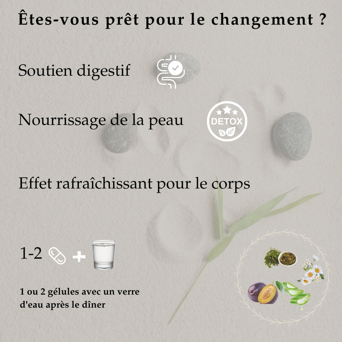 Zen&Tonic Transit en 24h Cure été 20 jours 40 capsules Formule Française Programme bien-être inspiré des traditions botaniques • Fabriqué en France • Pour une routine été au naturel