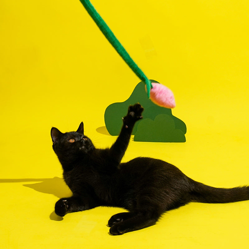 zeze Baguette de jeu pour chat en forme de tulipe
