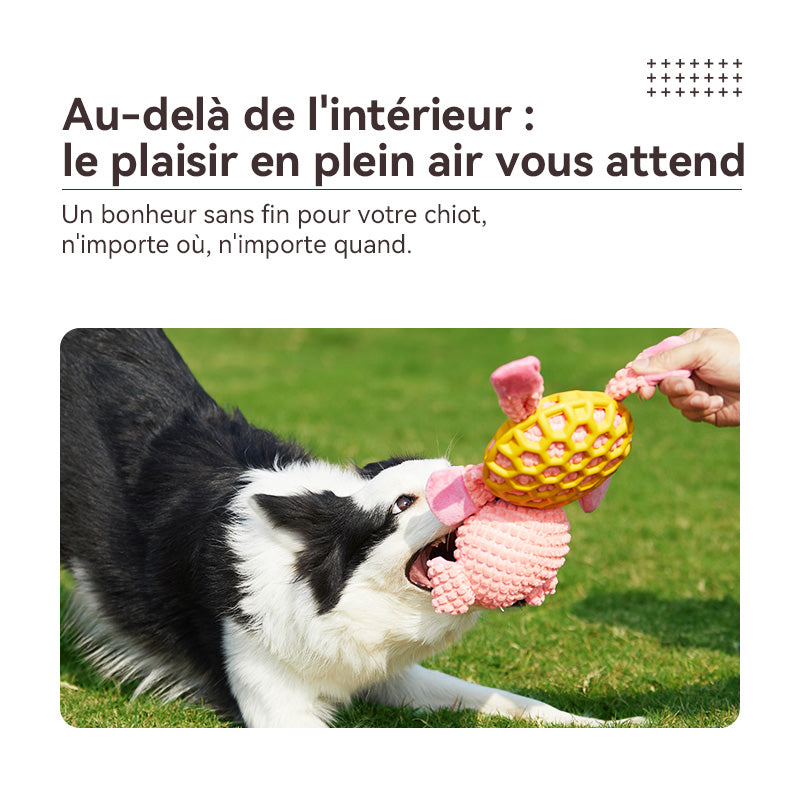 Blinkit Jouets en peluche pour chien avec couineur, velours côtelé épais et caoutchouc naturel, jouet à mâcher pour nettoyer les dents, peluches douces rembourrées pour toutes races de chiens