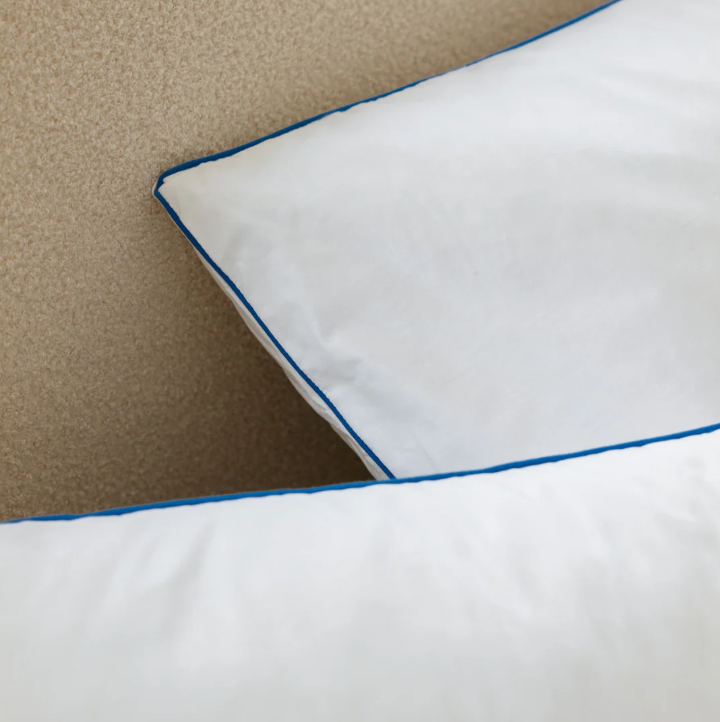 MORPHEA Oreiller moelleux coton et polyester épaisseur 5 cm - 60 x 60 cm