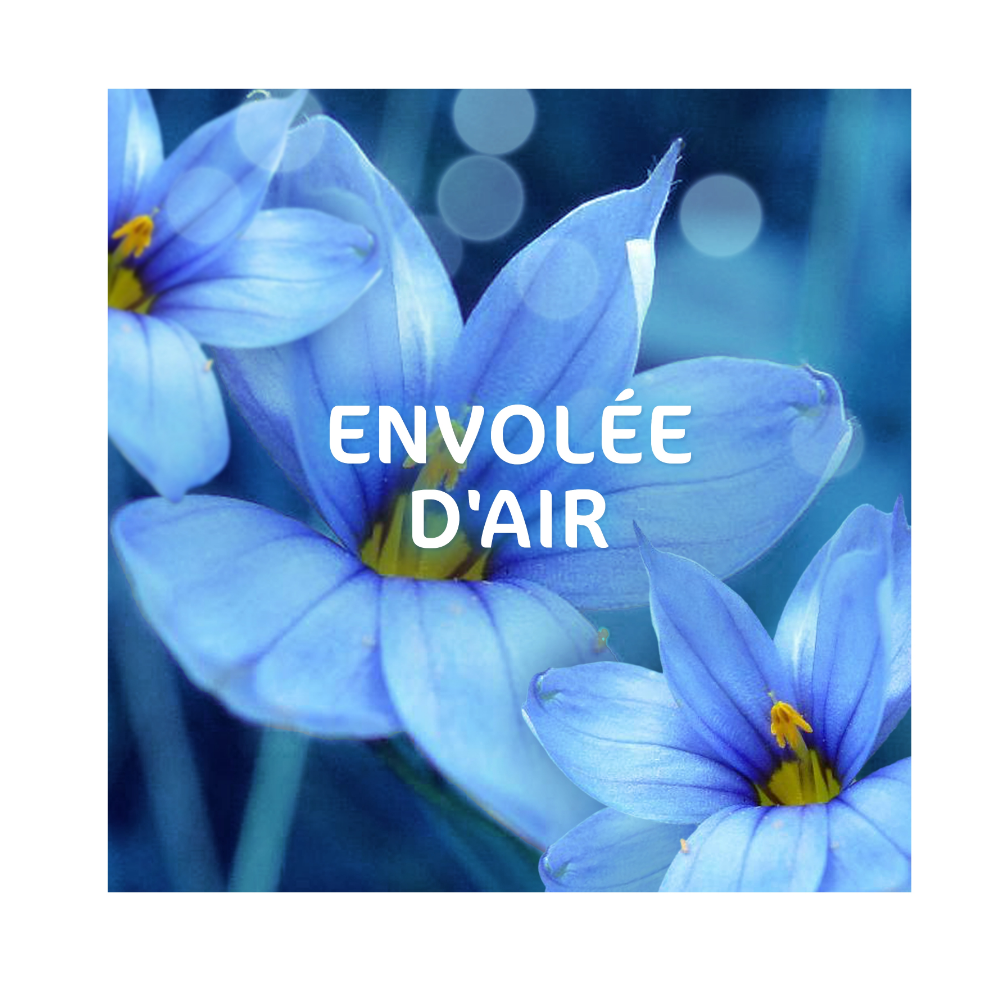 Dash 2-en-1 PODS® Envolée d'air, 38 doses, fabriqué en France