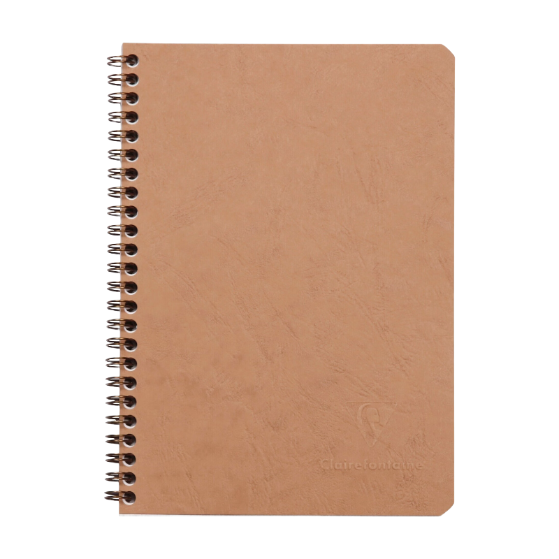 CLAIREFONTAINE Nomaddict (Age Bag) carnet reliure intégrale 14,8x21cm 100p 5x5 tabac