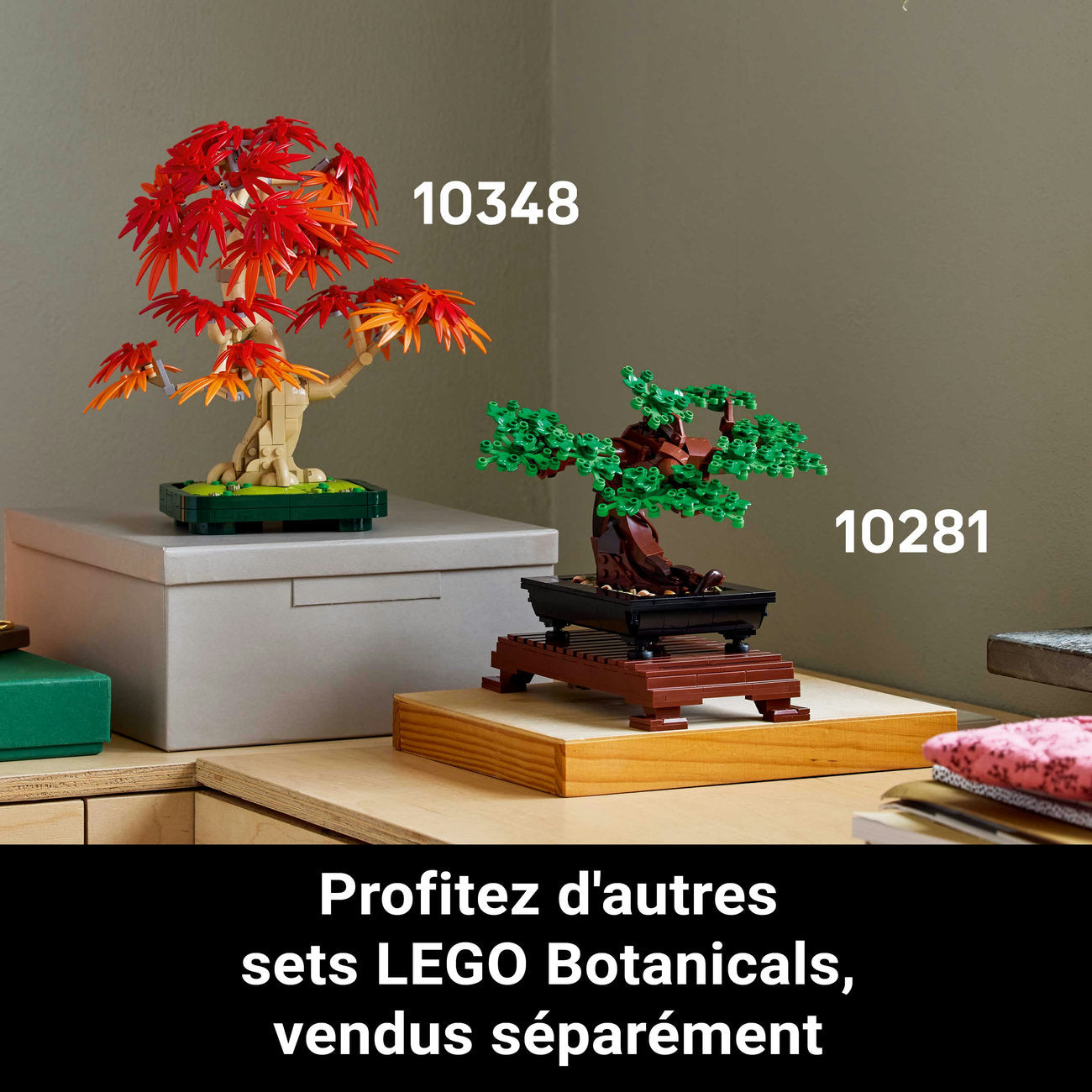 LEGO Botanicals 10348 Bonsaï d’érable rouge du Japon