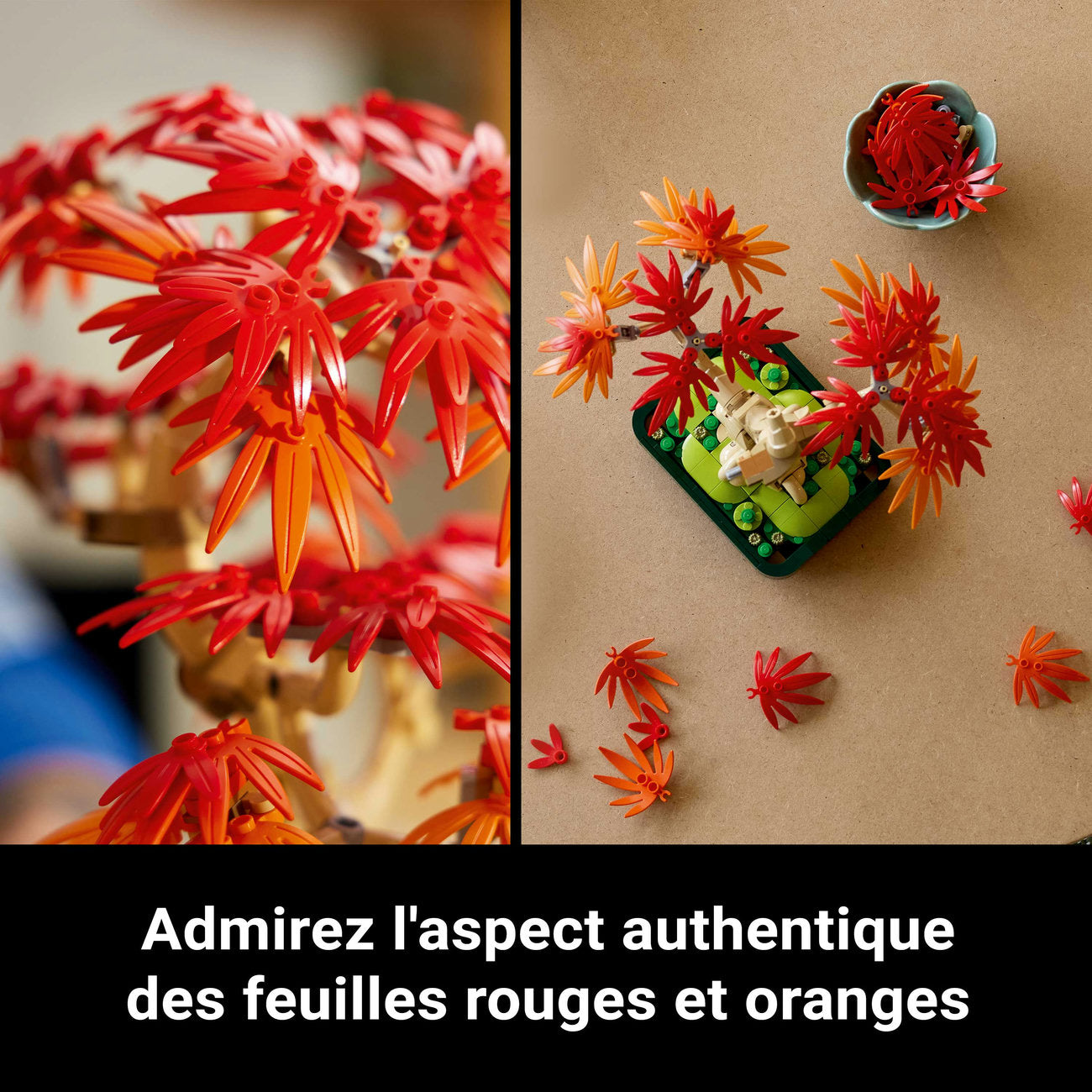 LEGO Botanicals 10348 Bonsaï d’érable rouge du Japon