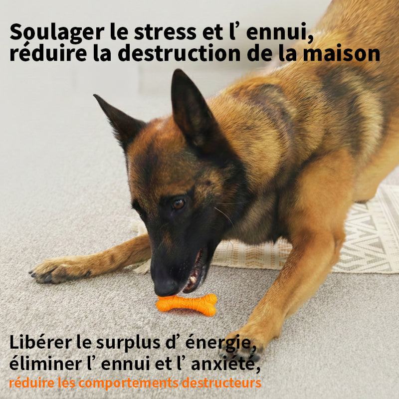 Blinkit Jouet à mâcher os au fromage pour chiens, jouet en latex résistant pour animaux de petite et moyenne taille, jouet interactif de dressage et de dentition (10,7 × 4 × 2,5 cm)