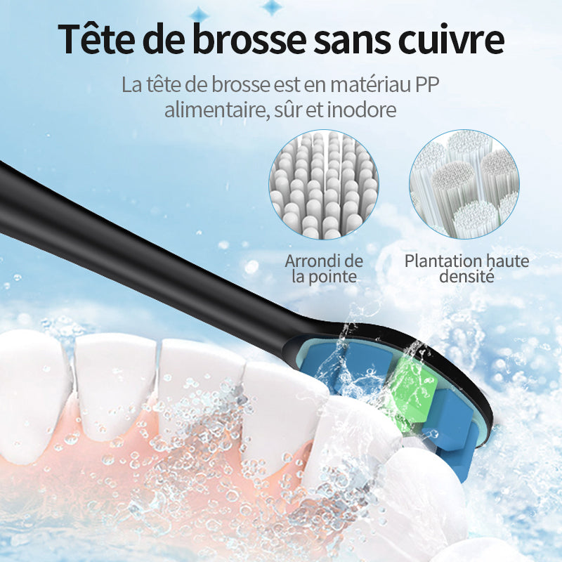 RUSHI R-C32 Brosse à dents électrique, tête de brosse sans cuivre - Noir