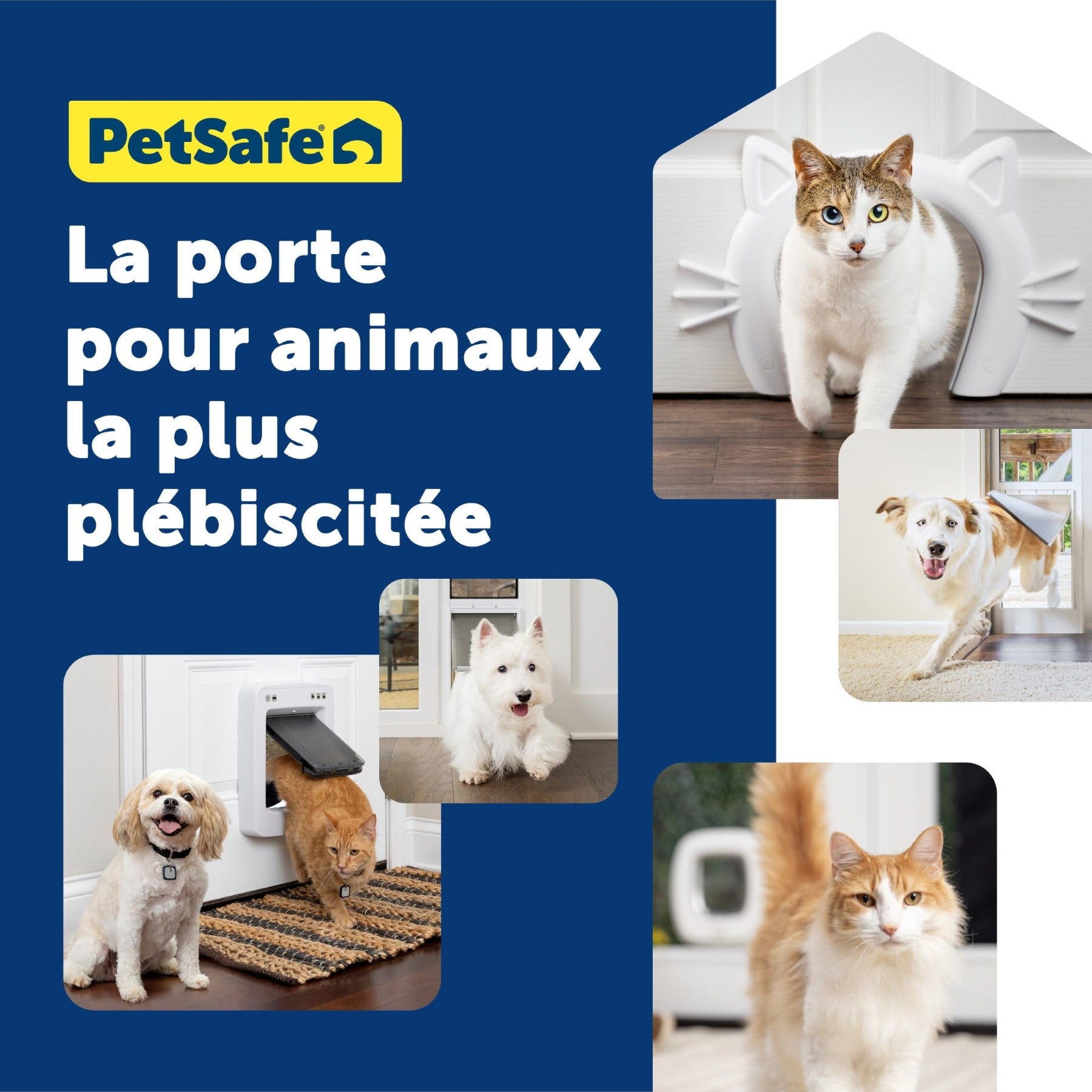 Petsafe adaptateur chatière grands chats, fixation verre