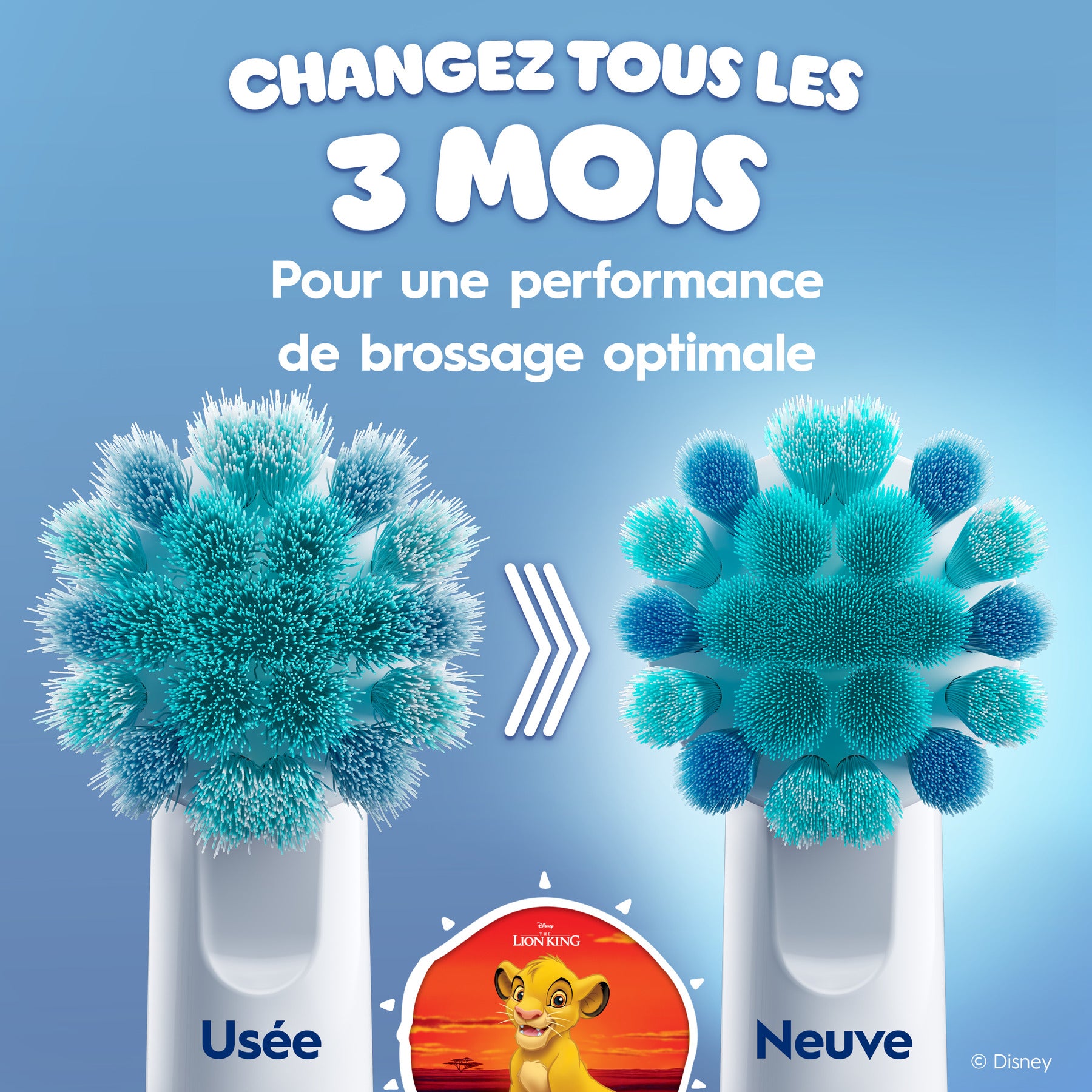 Oral-B Brossettes Le Roi Lion x4