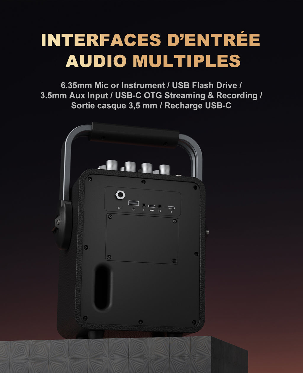 Système de Karaoké Bluetooth Mlove Rangers D4 , Enceinte Portable avec Microphones Sans Fil et Enregistrement Vocal Haute Fidélité