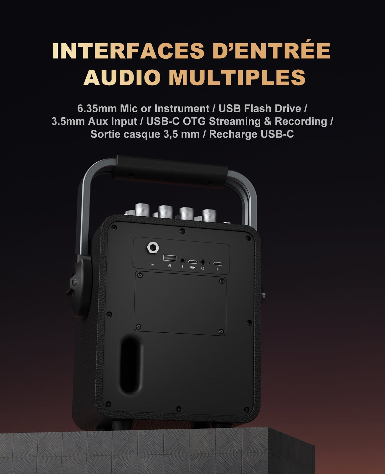 Système de Karaoké Bluetooth Mlove Rangers D4 , Enceinte Portable avec Microphones Sans Fil et Enregistrement Vocal Haute Fidélité