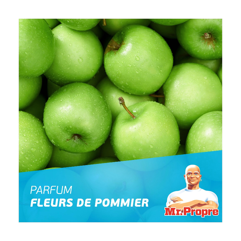 MR PROPRE Flash Clean Spray Nettoyant Multi-Usages, Dégraissage Multi-Surfaces, Sans Rinçage, Fleur de Pommier, 800 ml