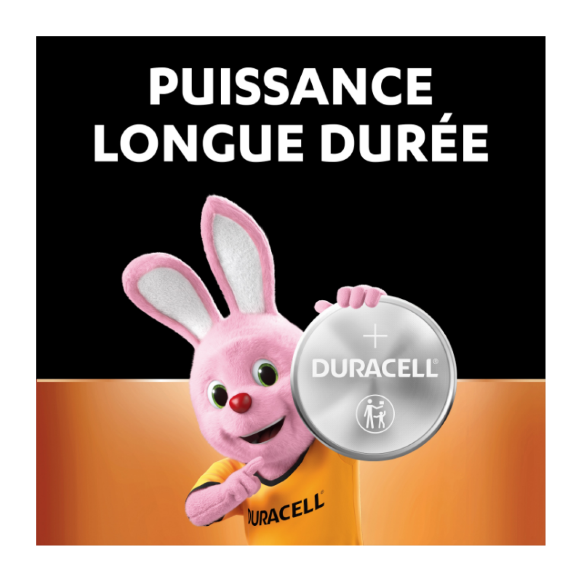 DURACELL 2450 Lot de 2 piles boutons Lithium 3 V, longue durée garantie, pour clés électroniques / dispositifs domestiques / balances et capteurs de température, conservation garantie 10 ans