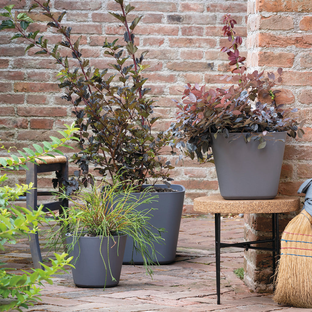 DEROMA Quadro Origin Grigio 28cm