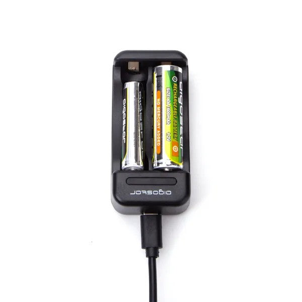 Aigostar Chargeur de piles à charge lente compatible AA et AAA avec port de charge type-C à 2 emplacements - Noir