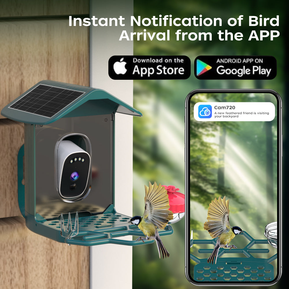JOOAN Alimentateur intelligent solaire pour oiseaux Wi‑Fi - Capte des photos et des vidéos Ultra HD 2K ! - Le cadeau parfait pour les amateurs d’ornithologie !