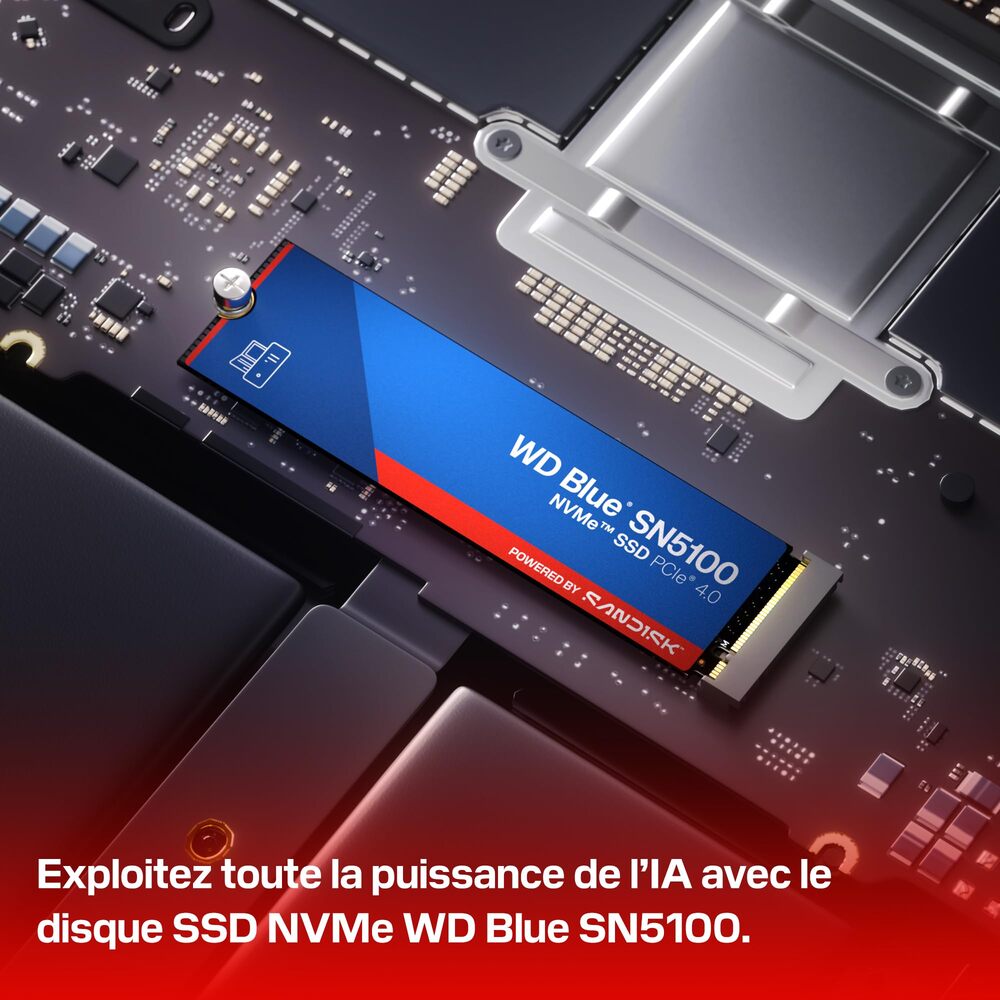 Western Digital SSD Blue SN5100 1 To Nvme PCIe 4.0