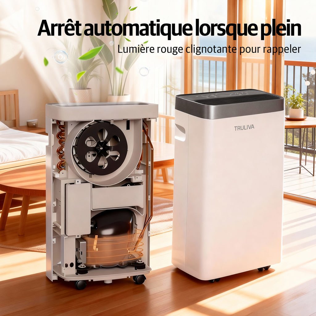 TRULIVA Déshumidificateur pour la maison, jusqu’à 32 m², minuterie 24 h, dégivrage automatique, séchage du linge, vidage continu, idéal pour les appartements humides, AP10-2012EE