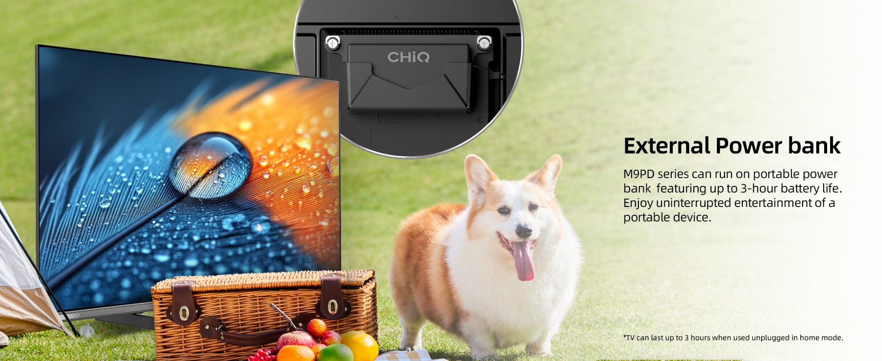 CHiQ TV Google HD 32 pouces (L32M9PD) Dolby Audio, Design sans cadre