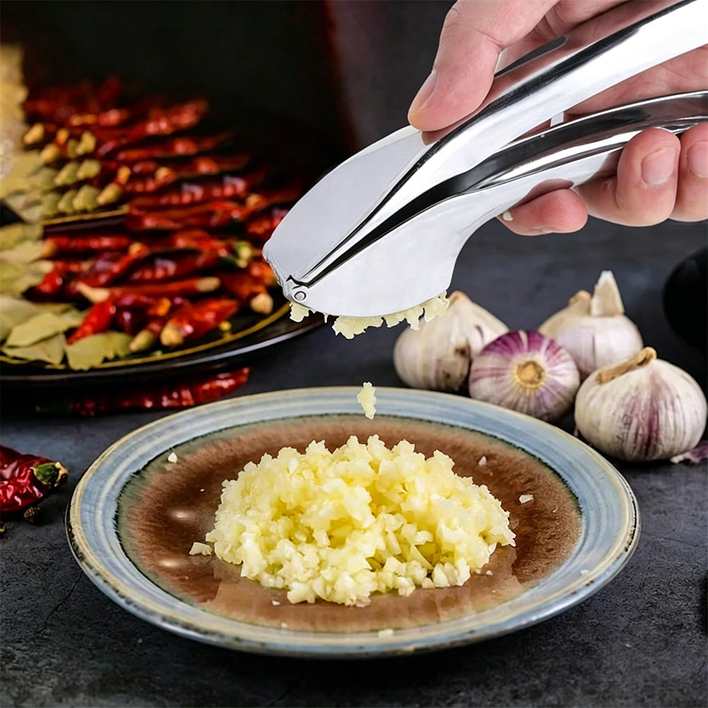 Huacan Ensemble de presse-ail manuel de cuisine en acier inoxydable, grand modèle, 1 pièce