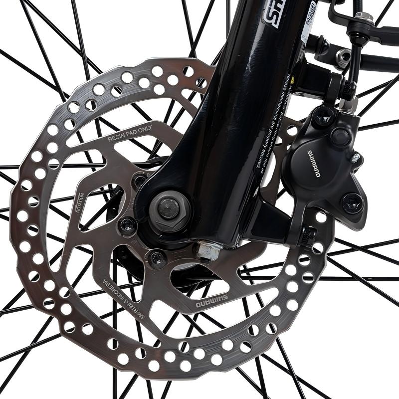 Rabeneick Comfort E-Bike Wave 51 blanc
