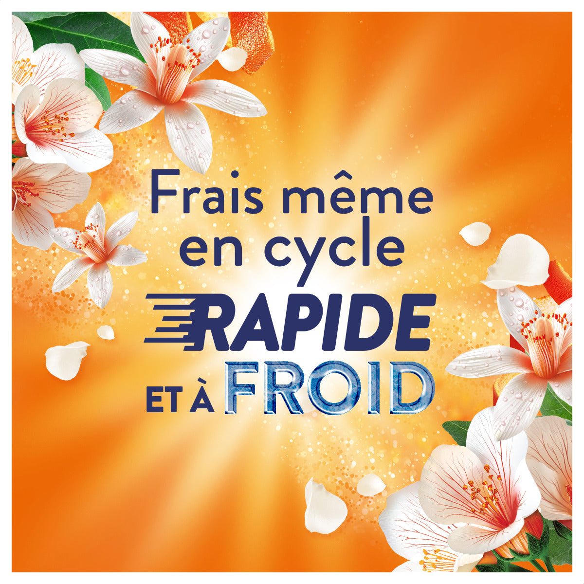 Lenor Adoucissant Liquide Collection Orange & verveine 42 Lavages - 882 ml