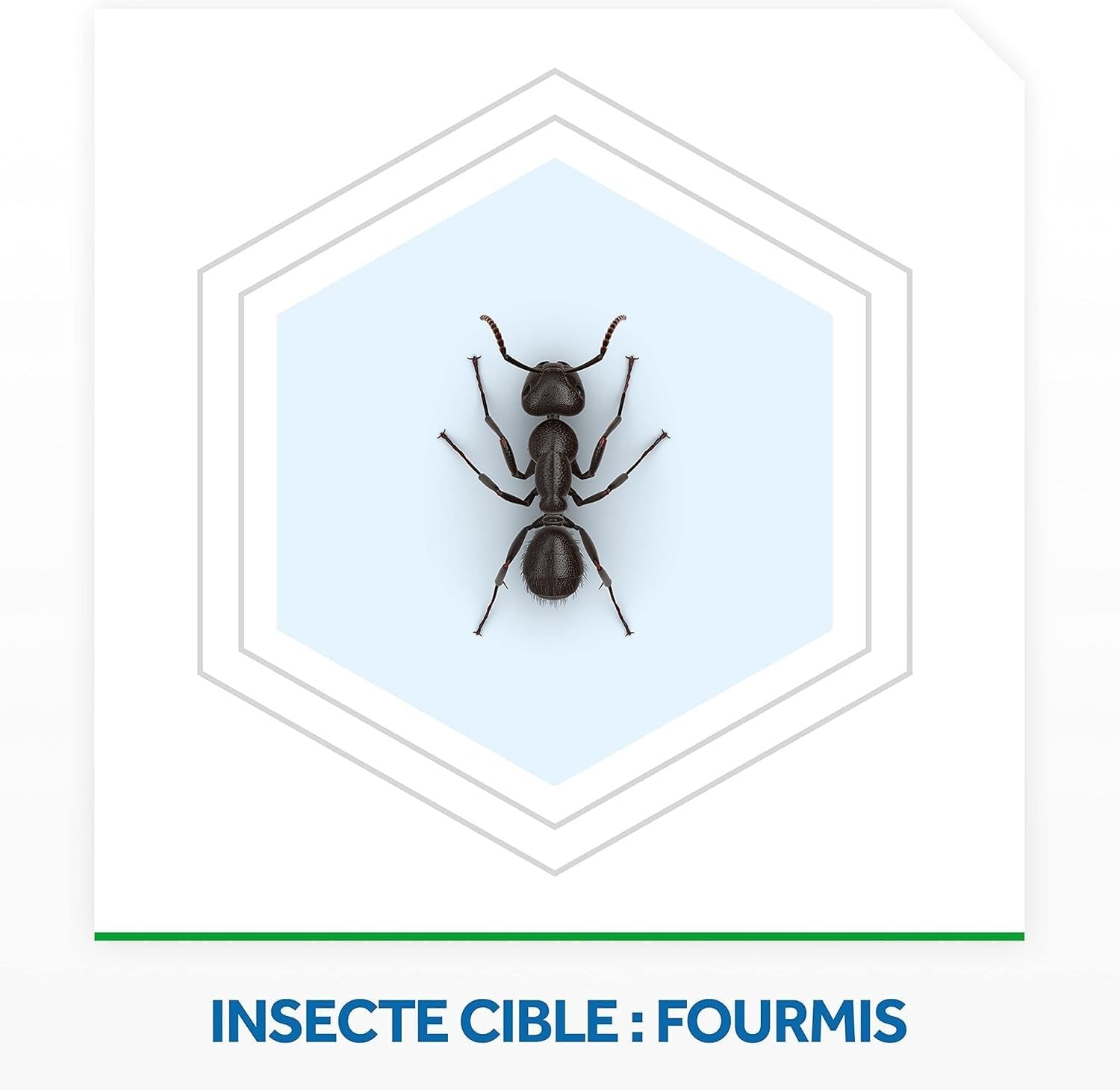RAID Max Boîte Anti-Fourmis Usage Intérieur et Extérieur 1 Boîte