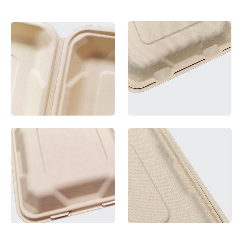 Boîte coquille jetable en fibre de bambou Ruibamboo 8 pouces - Lot de 50