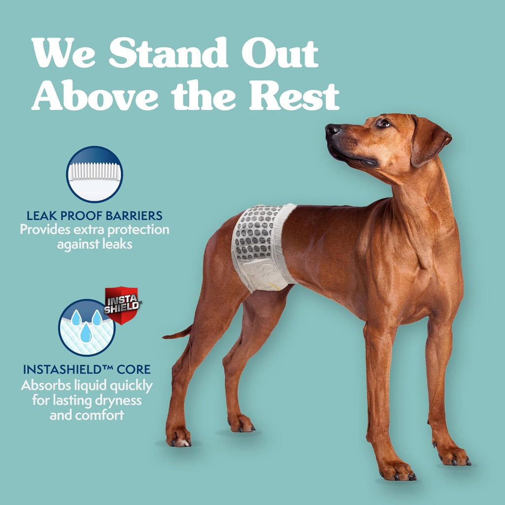 Simple Solution Couches jetables pour chiens, grand paquet de 12