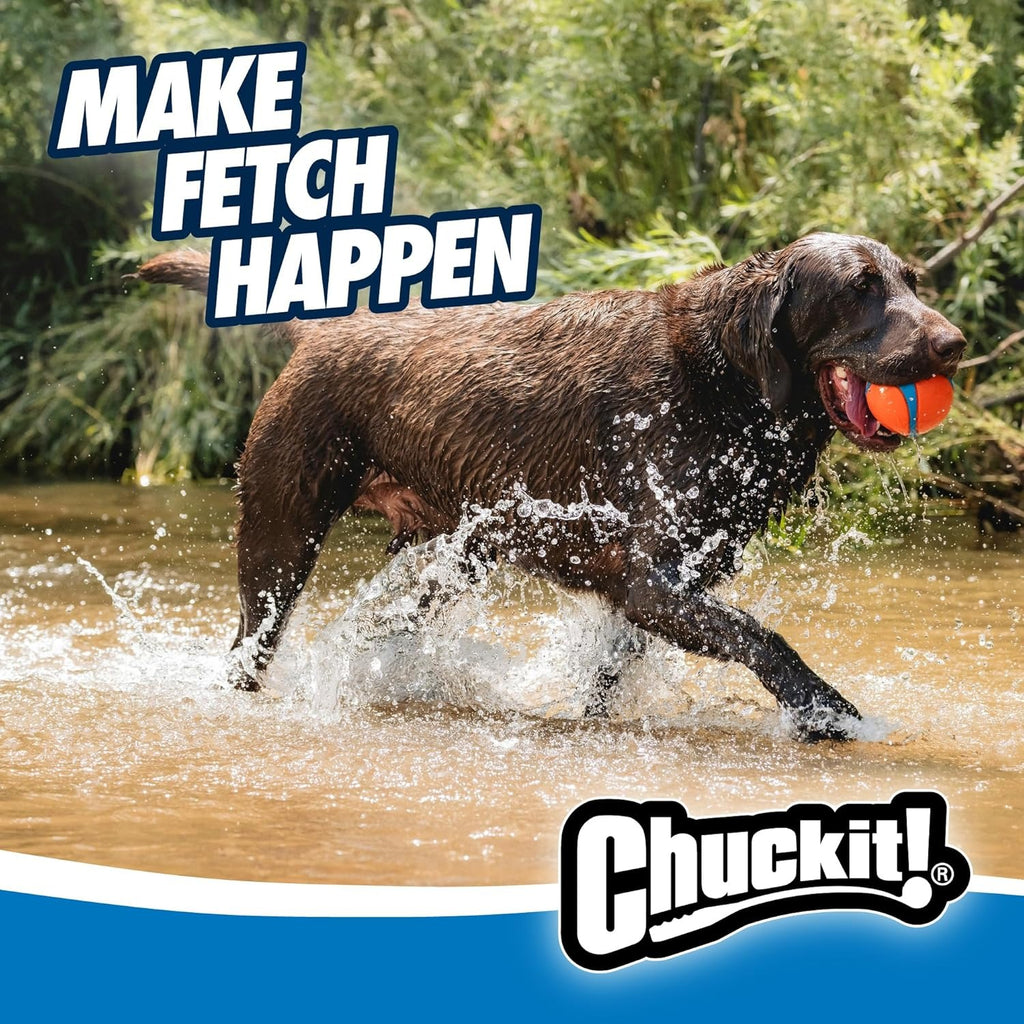 Chuckit! Jouet pour chien Ultra Ball - Taille XXL - 10 cm