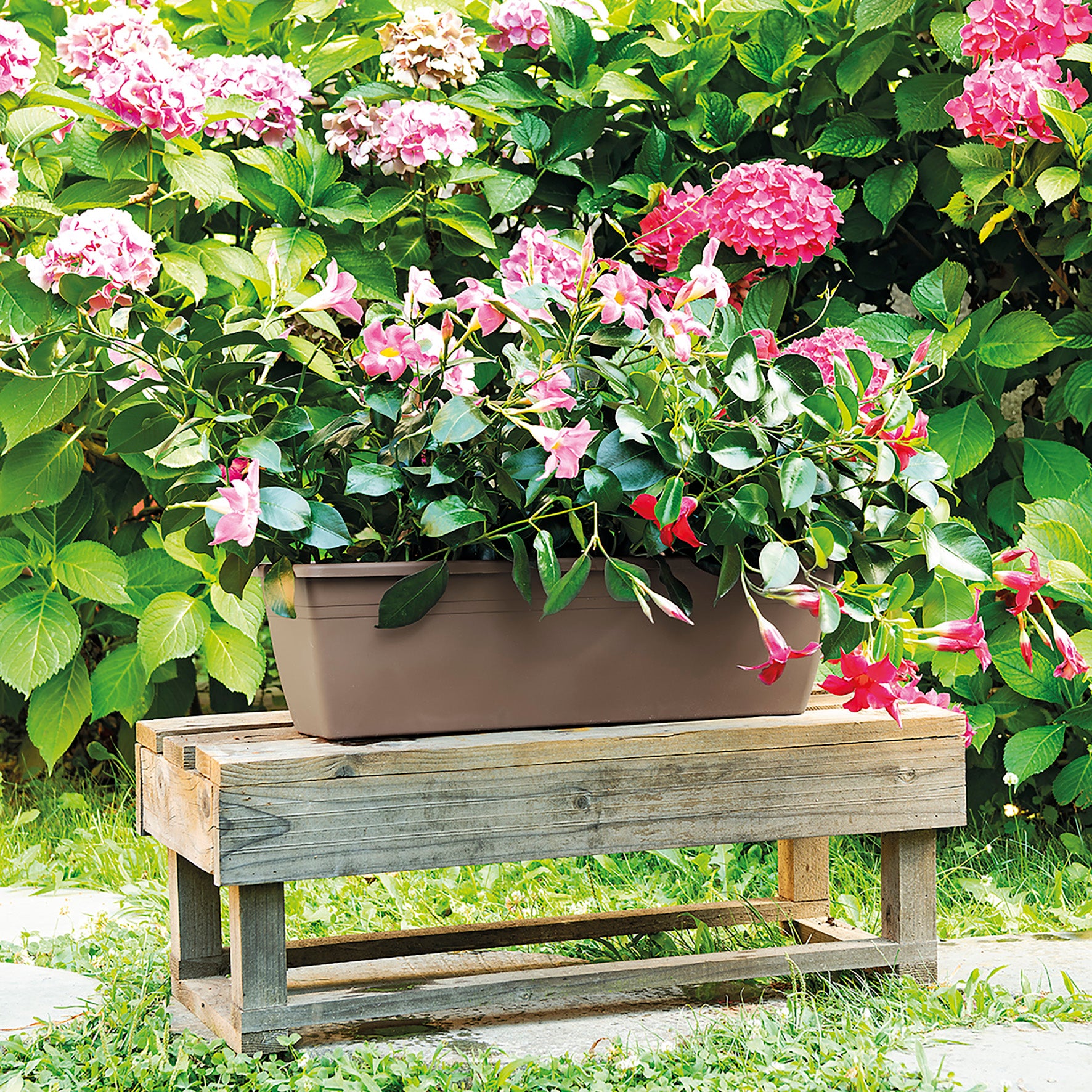 DEROMA Jardinière Day R Camel 50cm