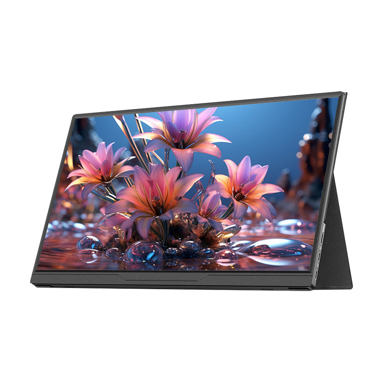 Lepow Ecran multifonctionnel portable 15,6", IPS HD, interface USB-C, compatible avec plusieurs appareils